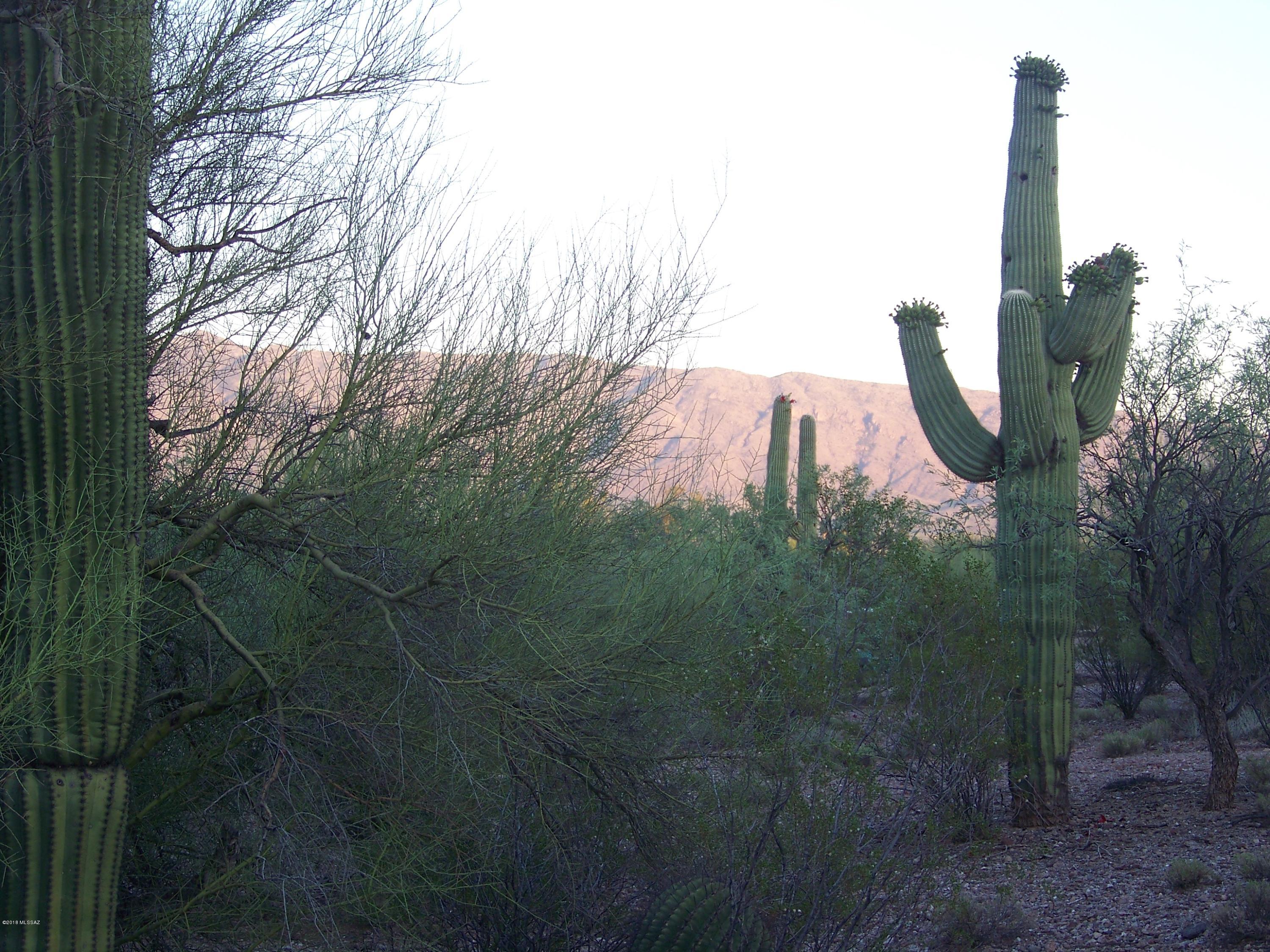 Tbd East Kleindale Road Tucson, AZ 85749 - Photo 15 of 45 Gallery Image 15
