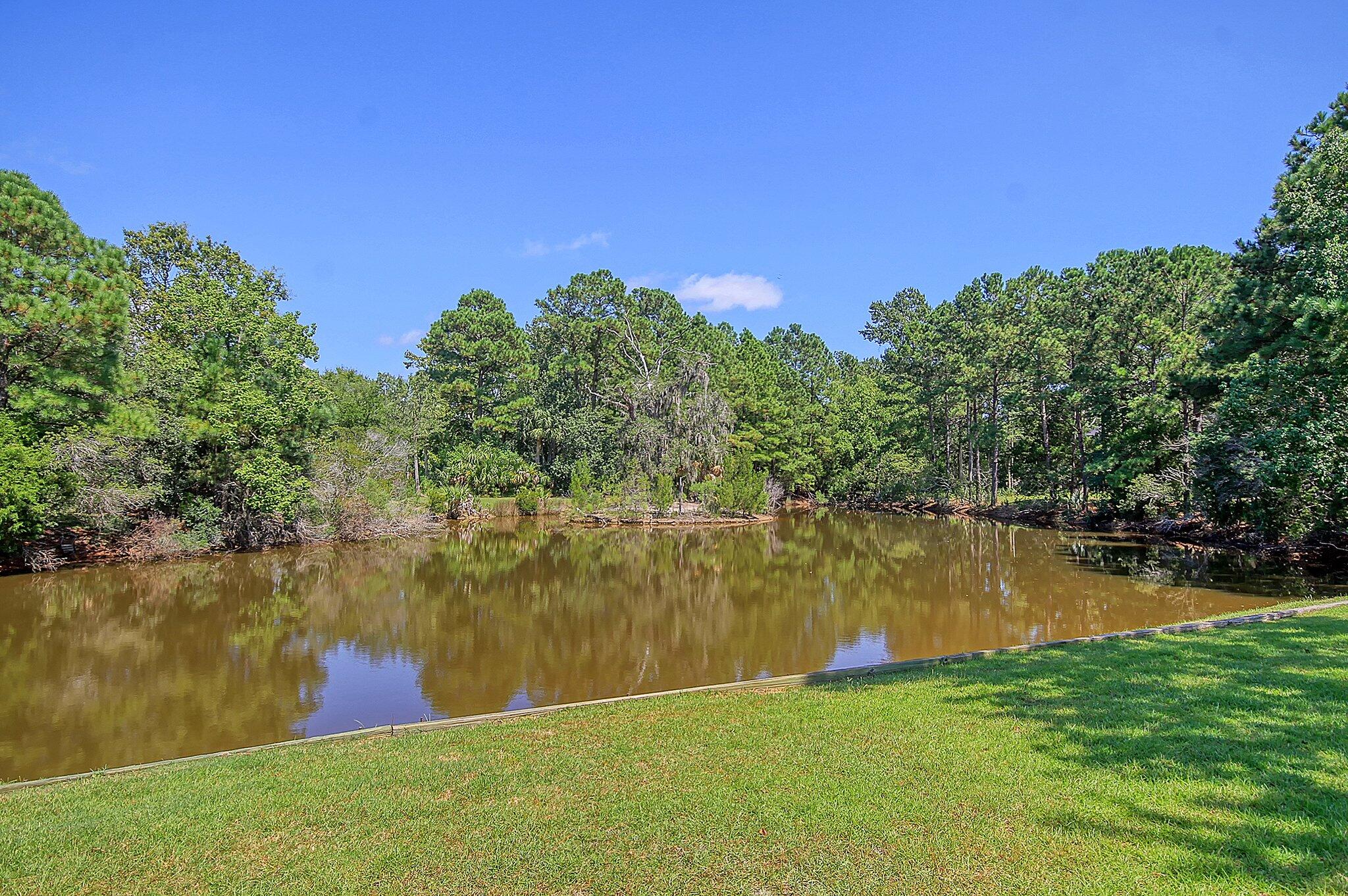 2154 Shell Ring Circle Mount Pleasant, SC 29466 - Photo 10 of 57 Pond