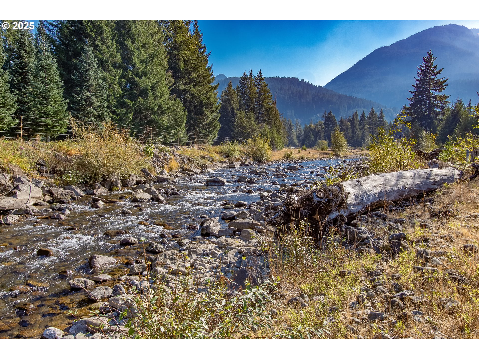 288 Baker Road Randle, WA 98377 - Photo 48 of 48 a view of a yard with a tree