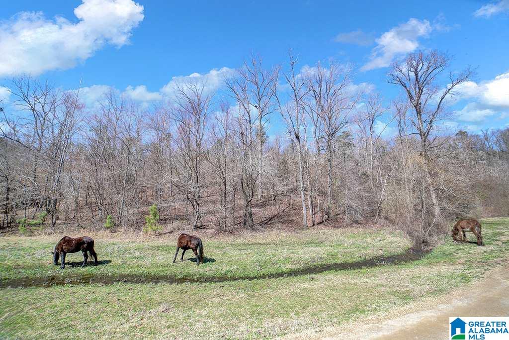 39080 Highway 231 Steele, AL 35987 - Photo 35 of 37