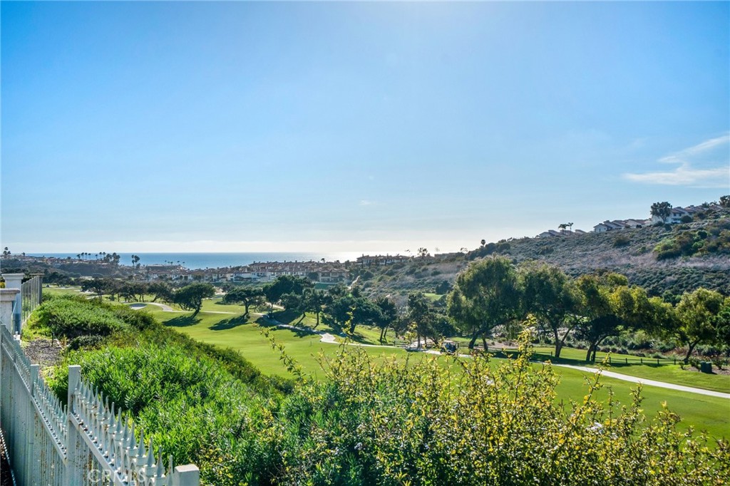 33 Cassis Dana Point, CA 92629 - Photo 45 of 49 a view of a city with lush green forest