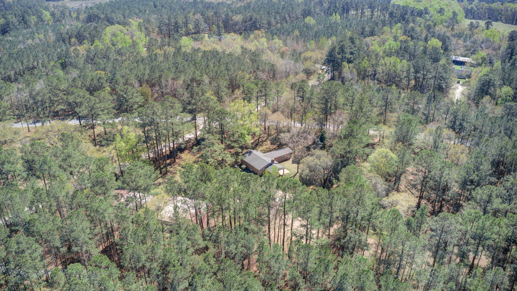 355 County Rd S-18-182 Ridgeville, SC 29472 - Photo 2 of 56 355 Meyers Mayo Rd, Ridgeville SC (50)