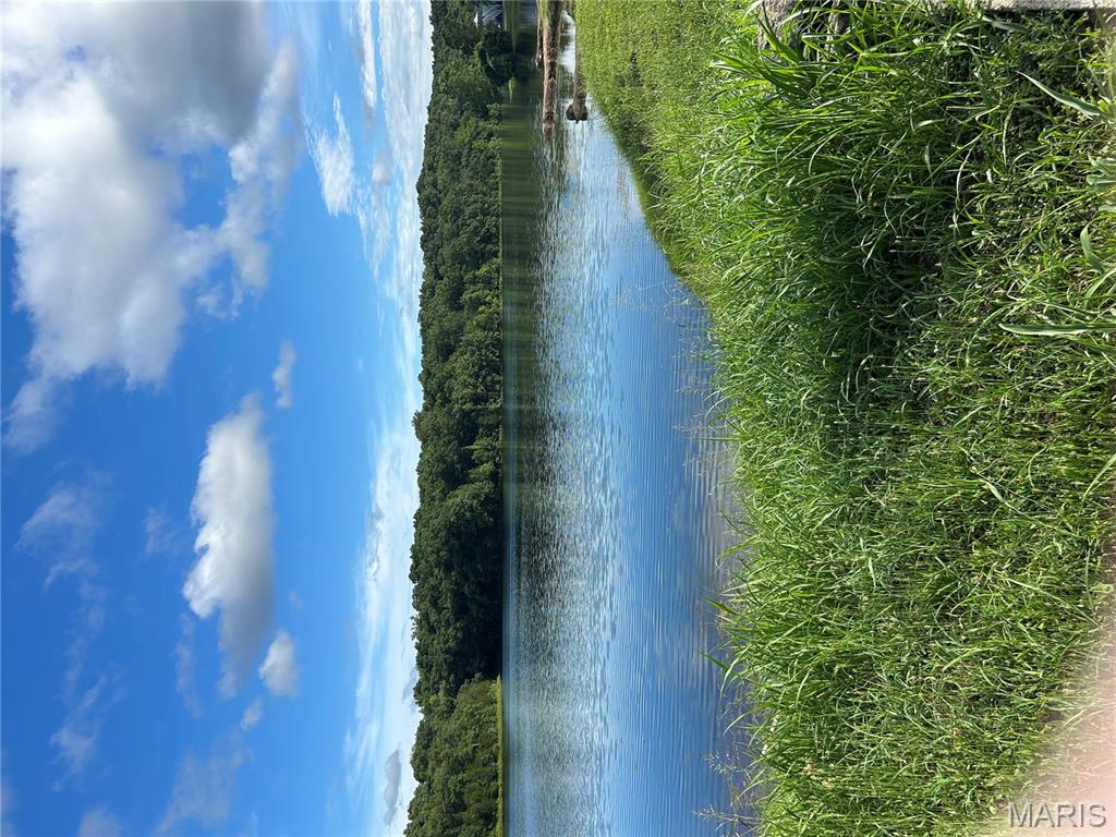 1037 Wild Raven Road De Soto, MO 63020 - Photo 17 of 18