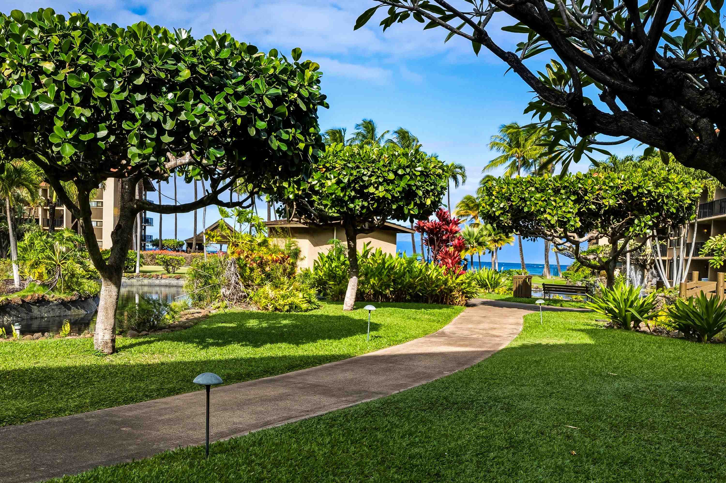 3543 Lower Honoapiilani Road, Unit H103 Lahaina, HI 96761 - Photo 38 of 50 a view of a park with plants and trees