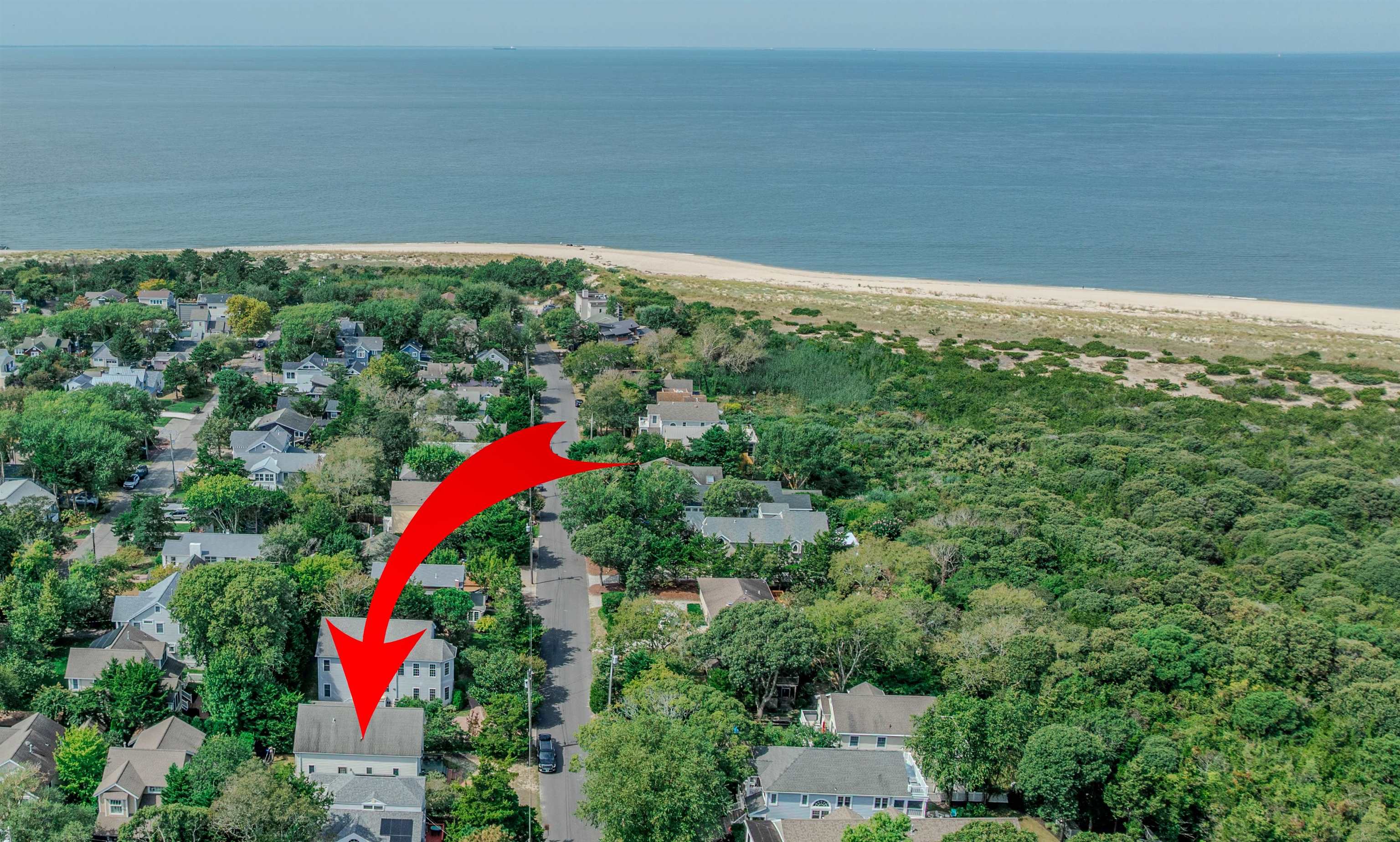 323 Alexander Avenue Cape May Point, NJ 08212 - Photo 2 of 50