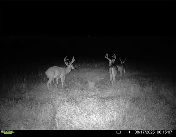 Tract C Boomerang Road Amite, LA 70422 - Photo 7 of 24