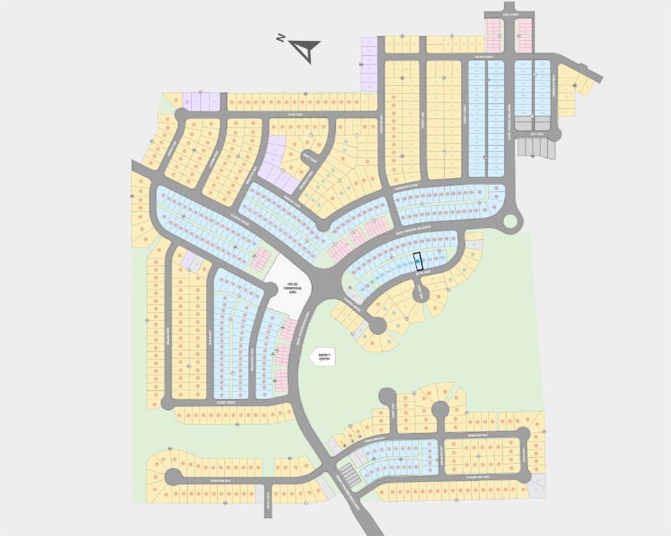 201 Betsy Road Hutto, TX 78634 - Photo 18 of 18 Plat Map. Illustrating the subdivision layout with individual property parcels and roads