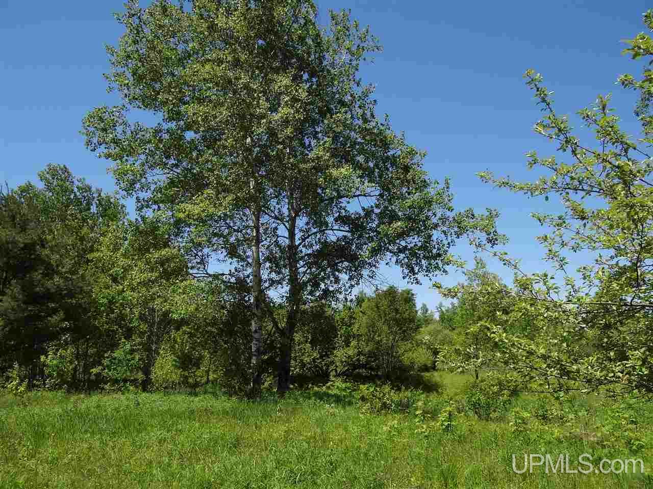 Tbd Seppanen Road Nisula, MI 49952 - Photo 20 of 24 Gallery Image 20