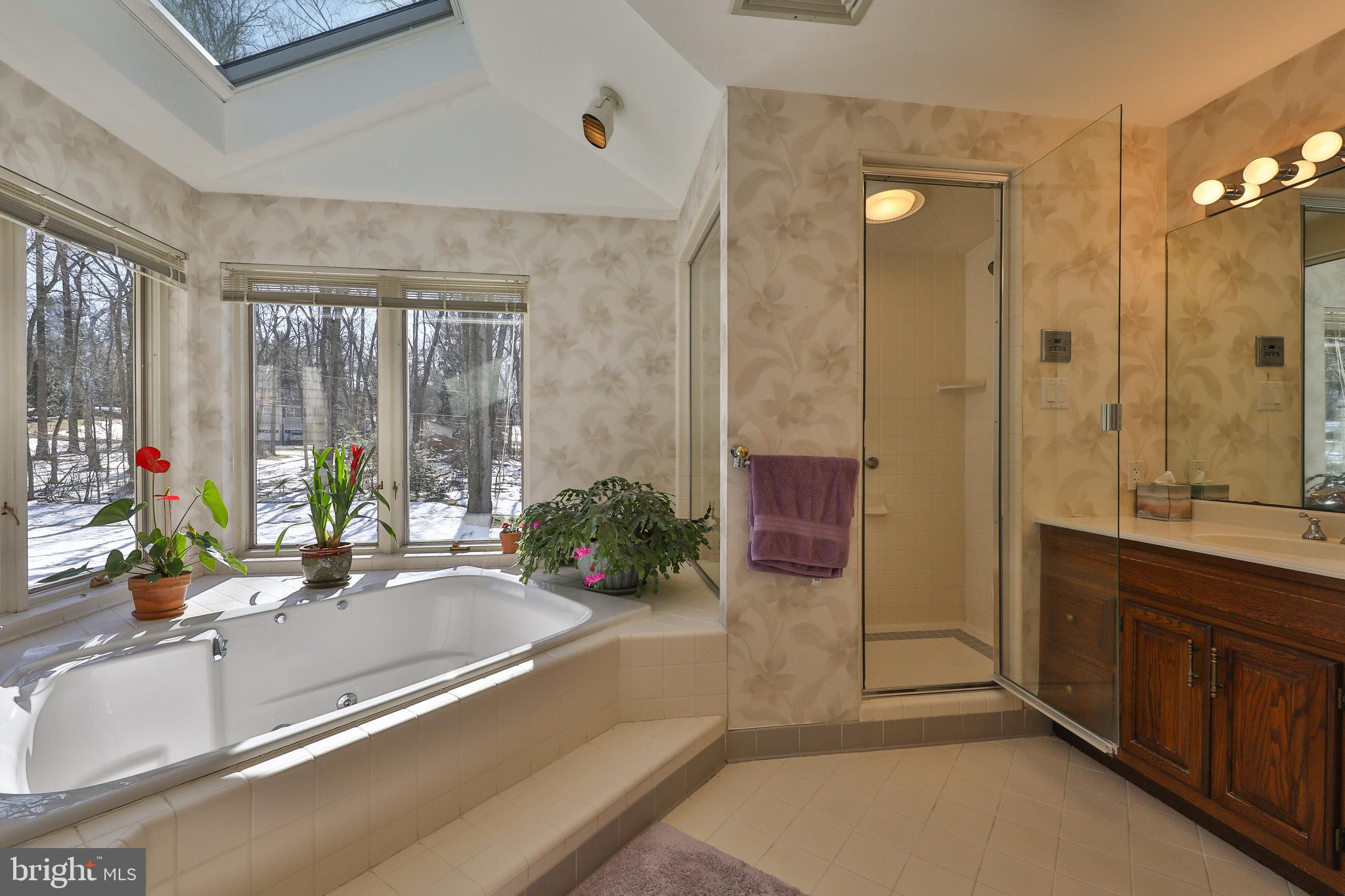 1700 Cary Road Huntingdon Valley, PA 19006 - Photo 25 of 52 Shower and twin vanities