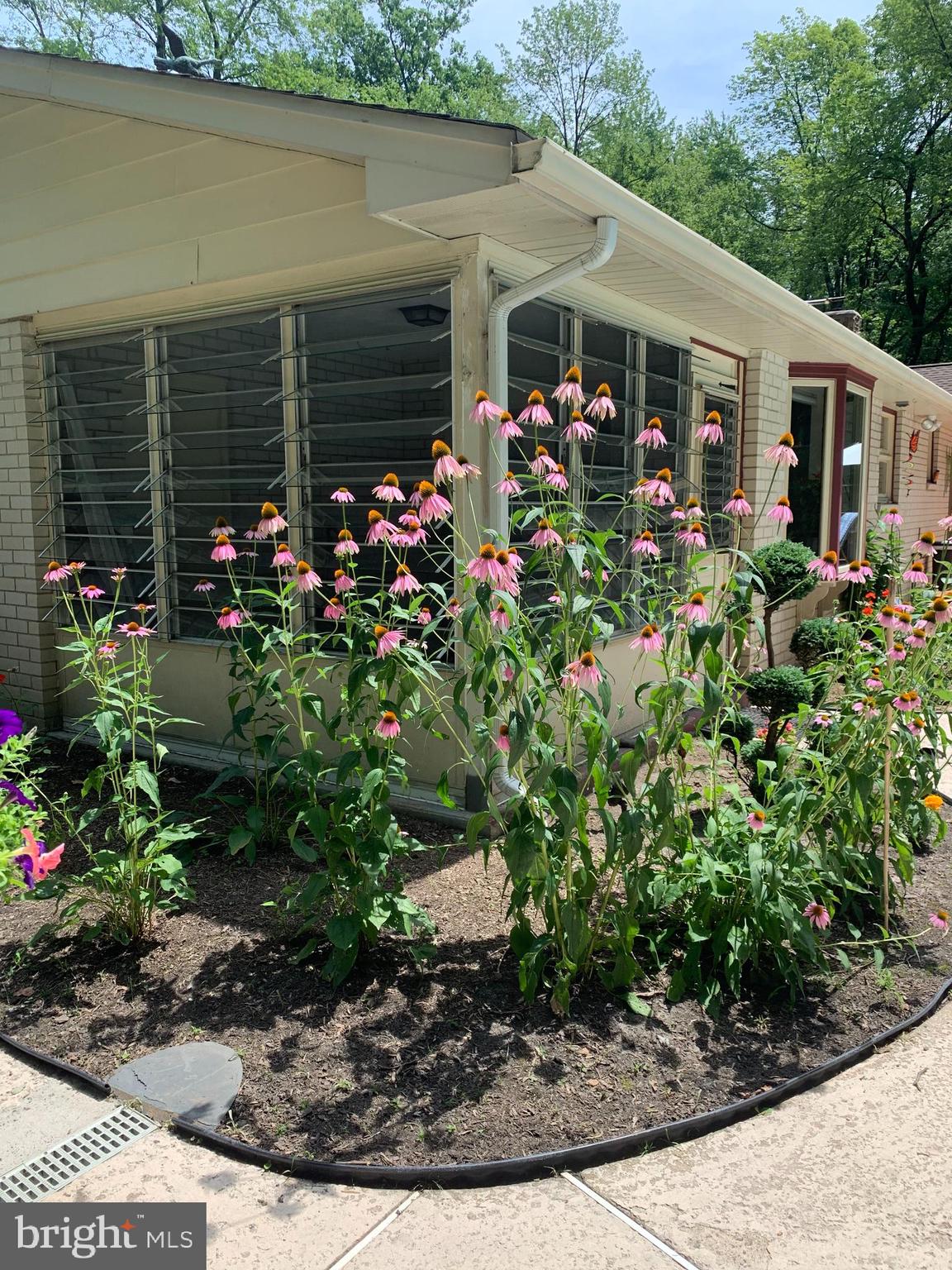 1700 Cary Road Huntingdon Valley, PA 19006 - Photo 47 of 52 Bloomin' georgous