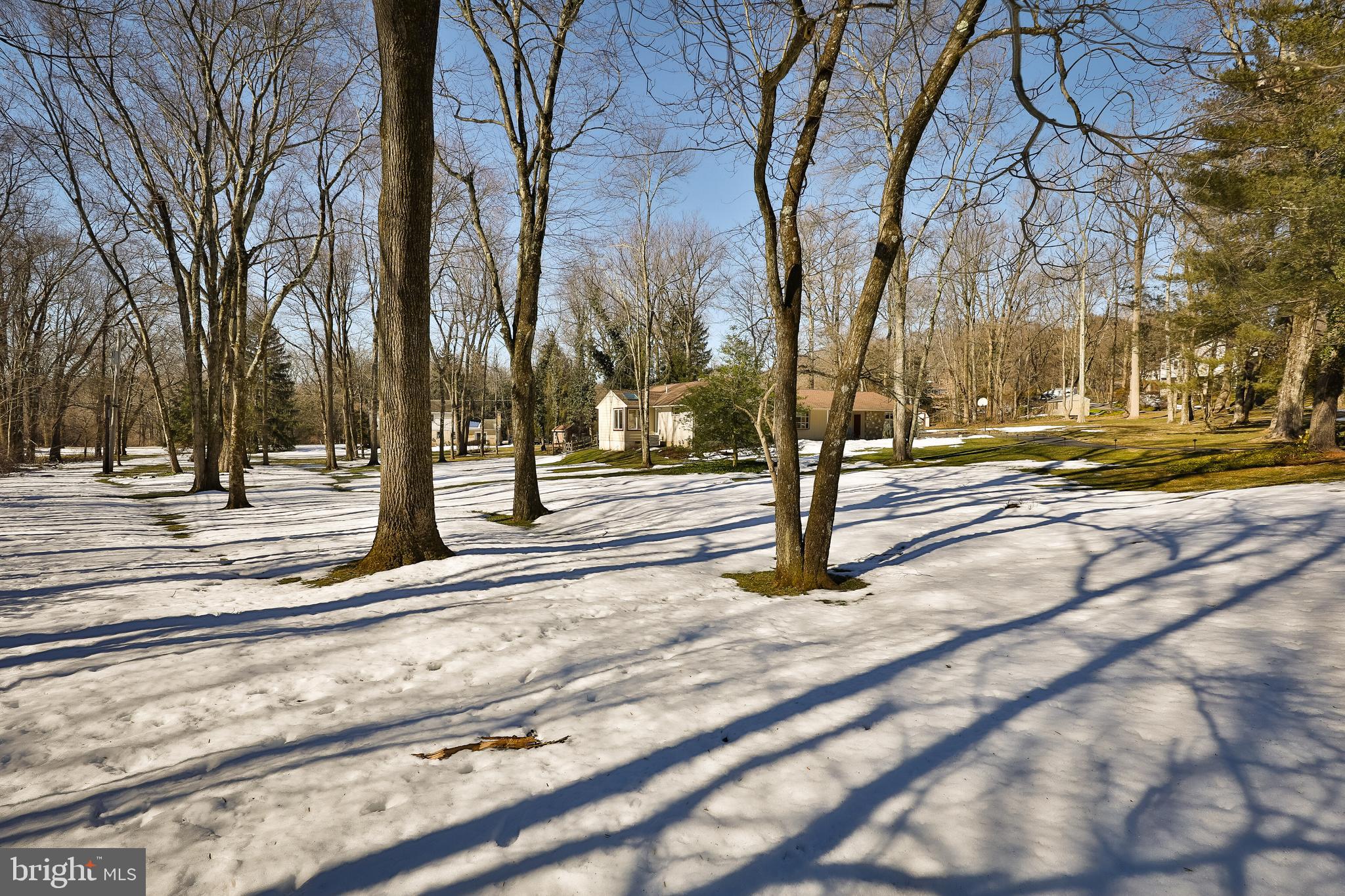1700 Cary Road Huntingdon Valley, PA 19006 - Photo 51 of 52 The quiet before the burst of spring