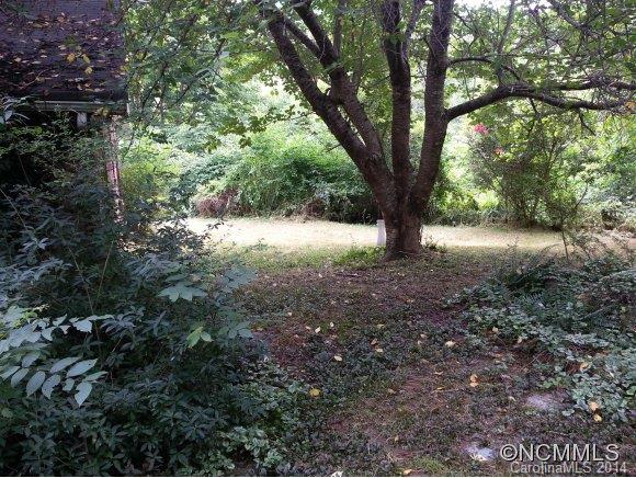 614 Case Cove Road Candler, NC 28715 - Photo 2 of 10 Gallery Image 2