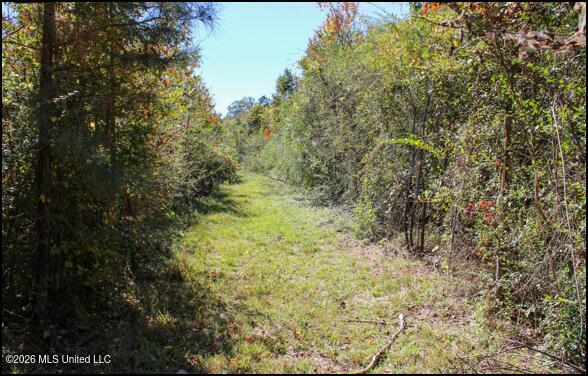 4056 Gibson Road McComb, MS 39648 - Photo 18 of 21 Screenshot 2026-05-26 143533
