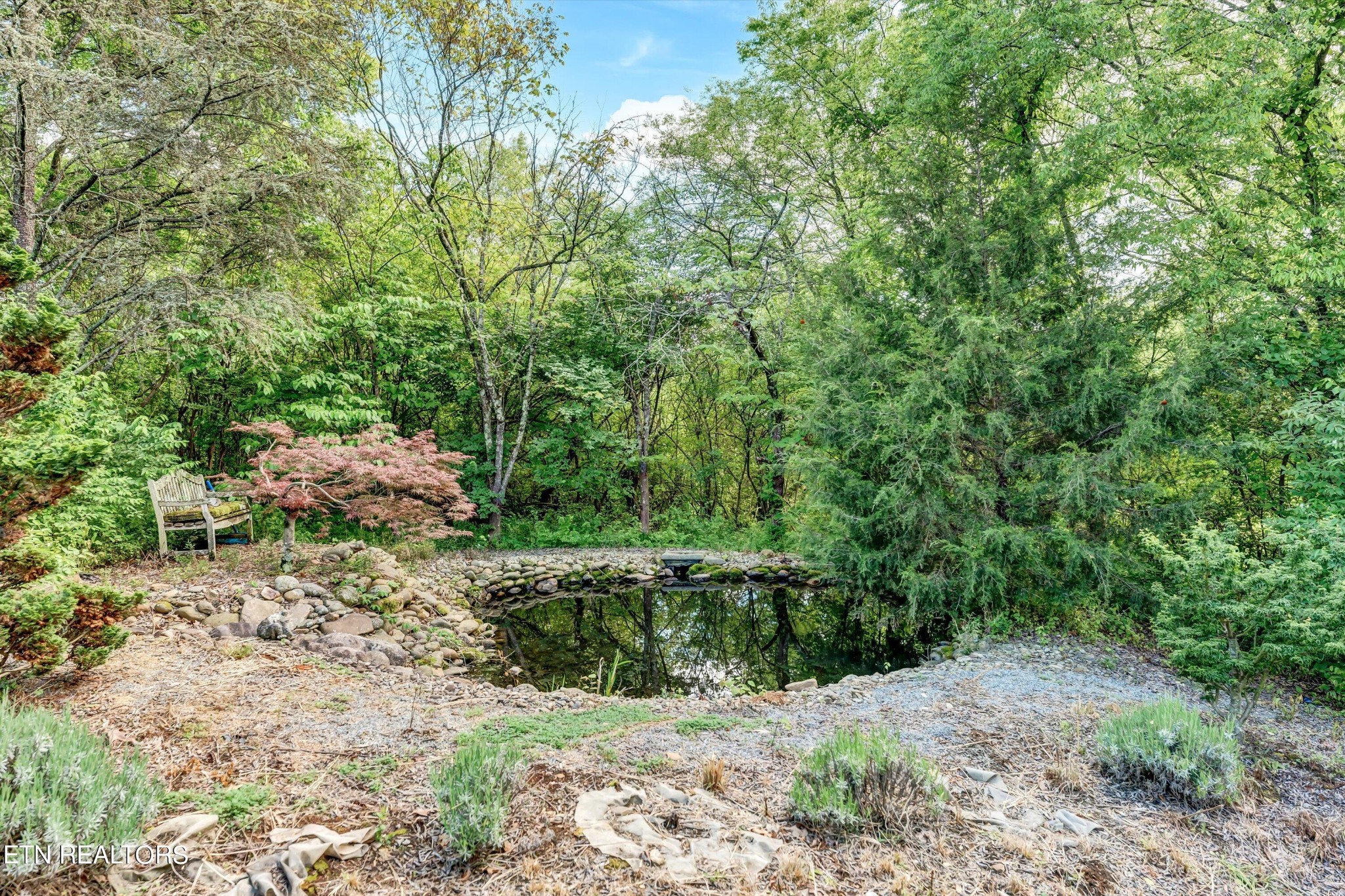 5400 Sinking Creek Road Greenback, TN 37742 - Photo 8 of 31 Gallery Image 8