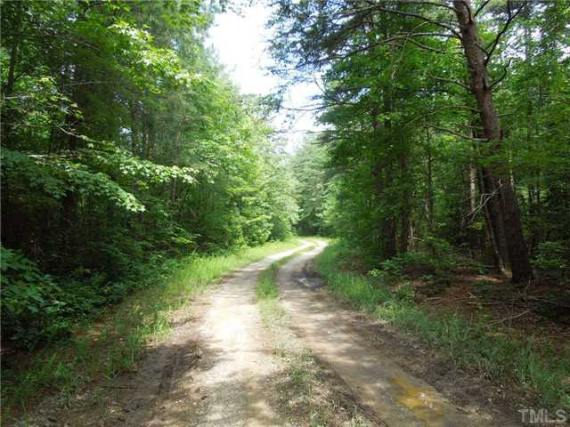 Bethany Church Road Rougemont, NC 27572 - Photo 3 of 8 Internal Road
