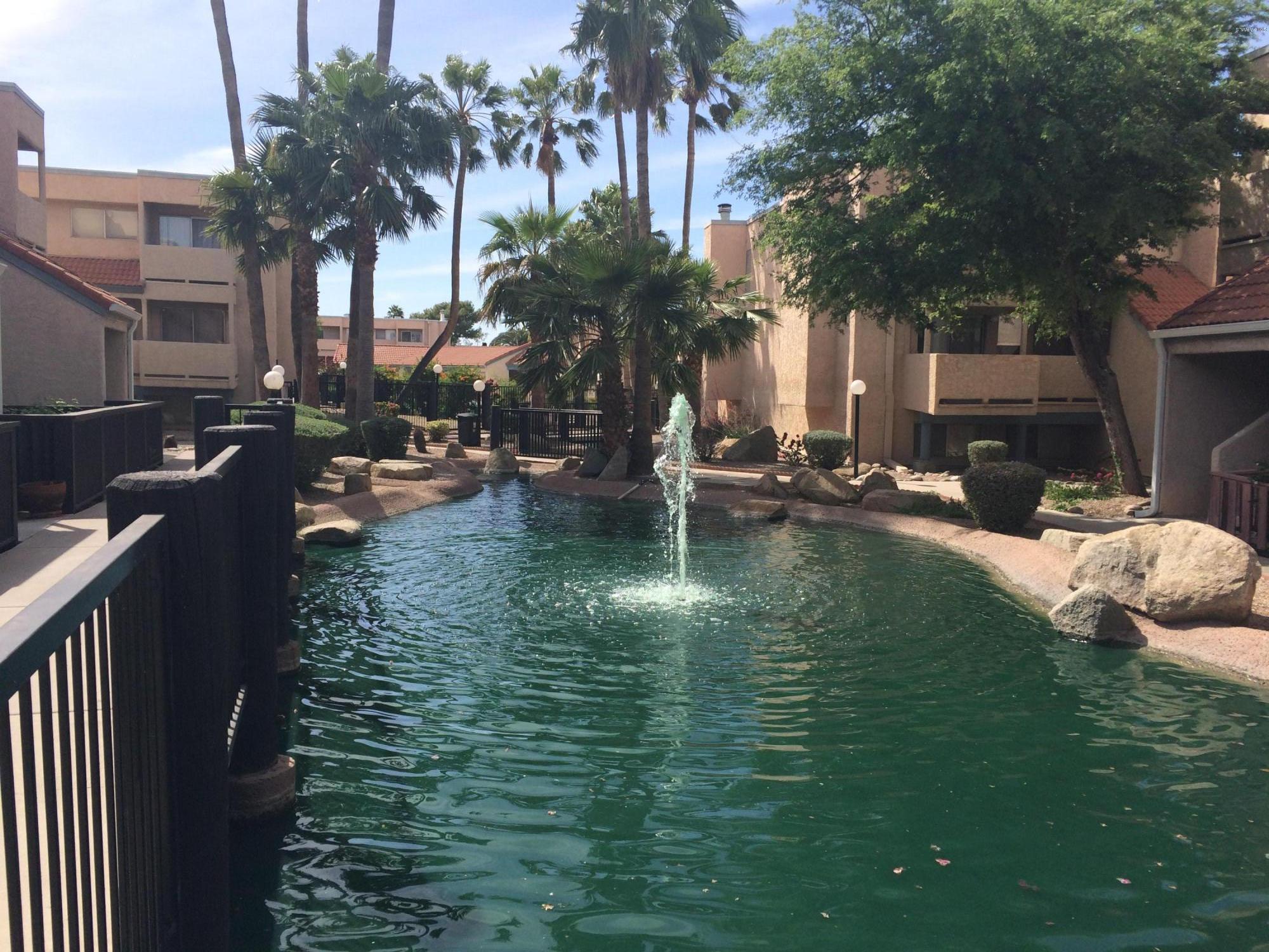1645 West Baseline Road, Unit 2104 Mesa, AZ 85202 - Photo 15 of 19 Water Works pond