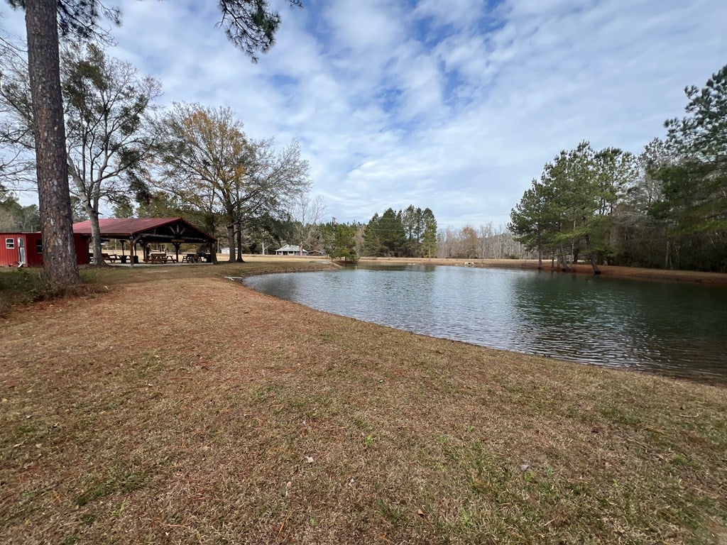 900 Benton Road Ochlocknee, GA 31773 - Photo 17 of 33 Gallery Image 17