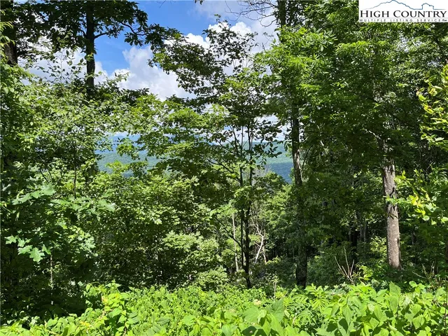 $75,000 | Crown Spruce Lane, West Jefferson, NC 28694