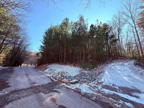 a view of a backyard with trees
