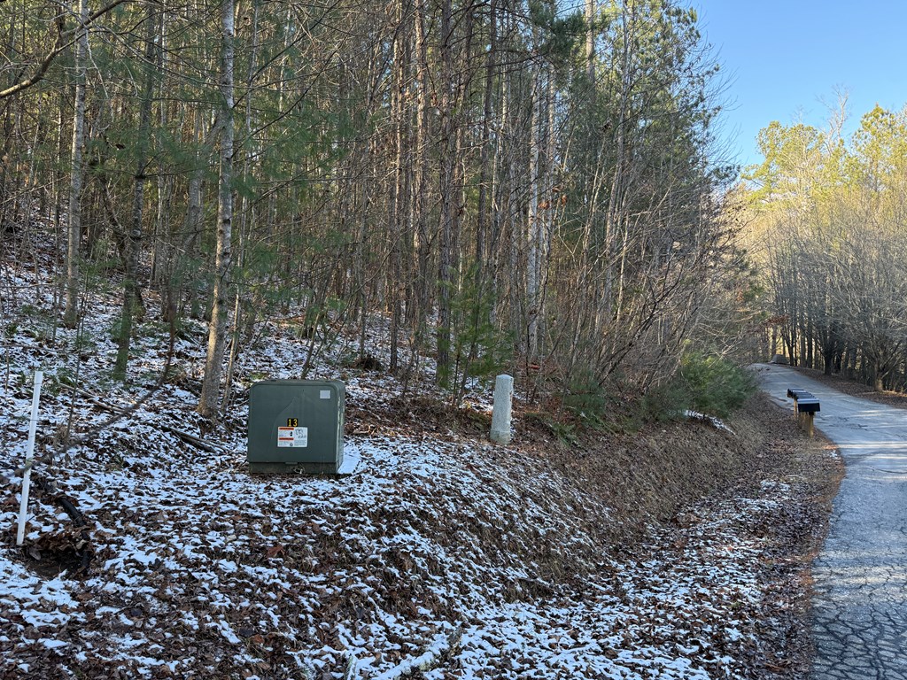 0 Confederate Circle Murphy, NC 28906 - Photo 8 of 8