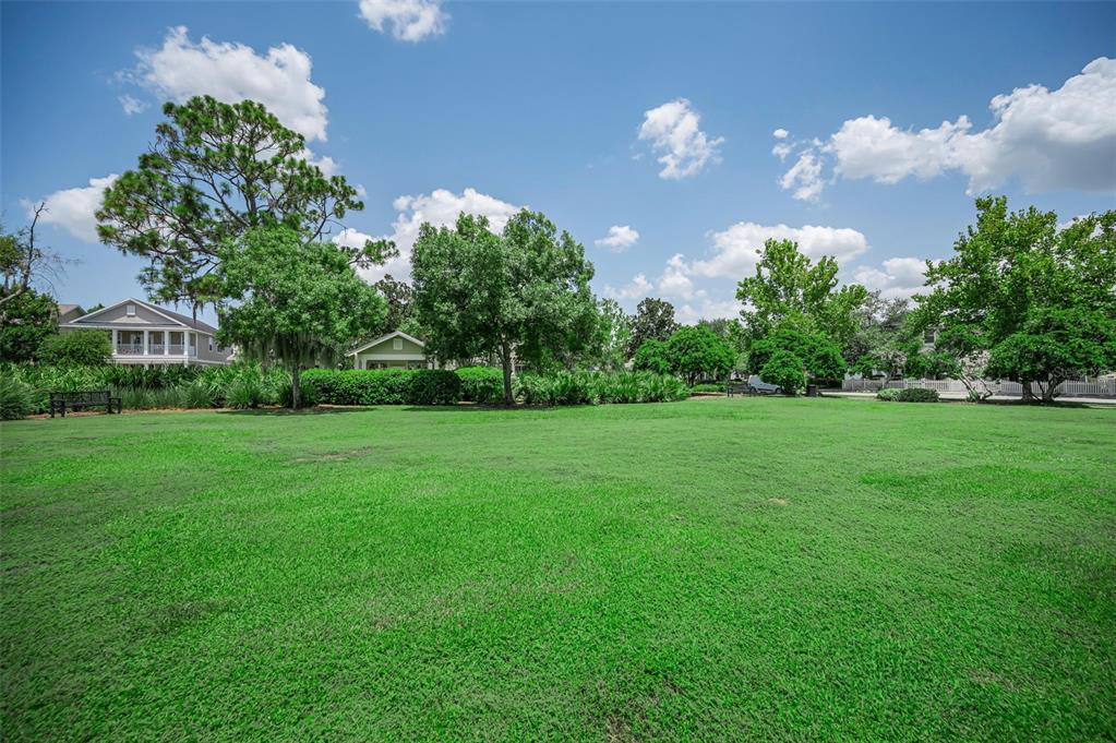 3436 Lonzalo Way New Port Richey, FL 34655 - Photo 44 of 52
