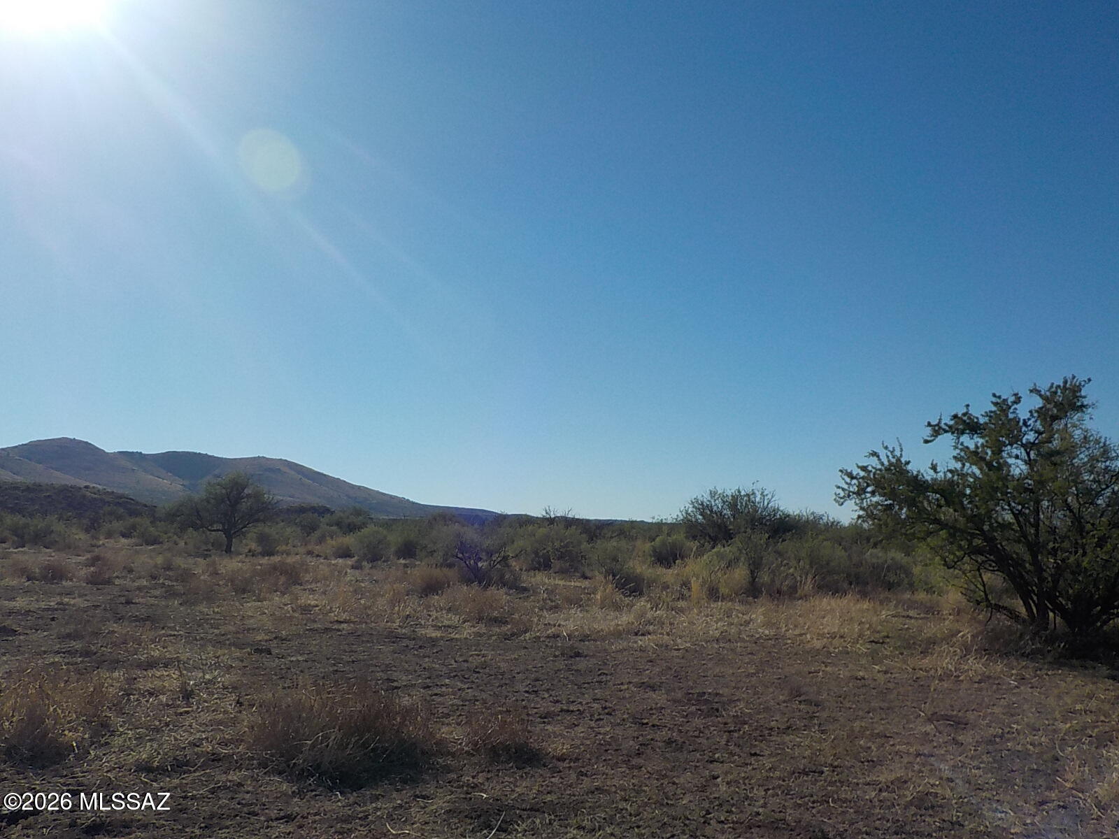 44.23-ac West Grey Bear Road, Unit 100 Willcox, AZ 85643 - Photo 19 of 23 DSCN1260