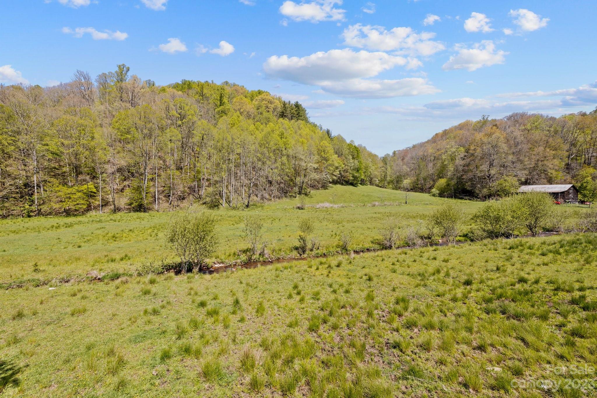 2393 Laurel Valley Road Mars Hill, NC 28754 - Photo 34 of 36 Gallery Image 34