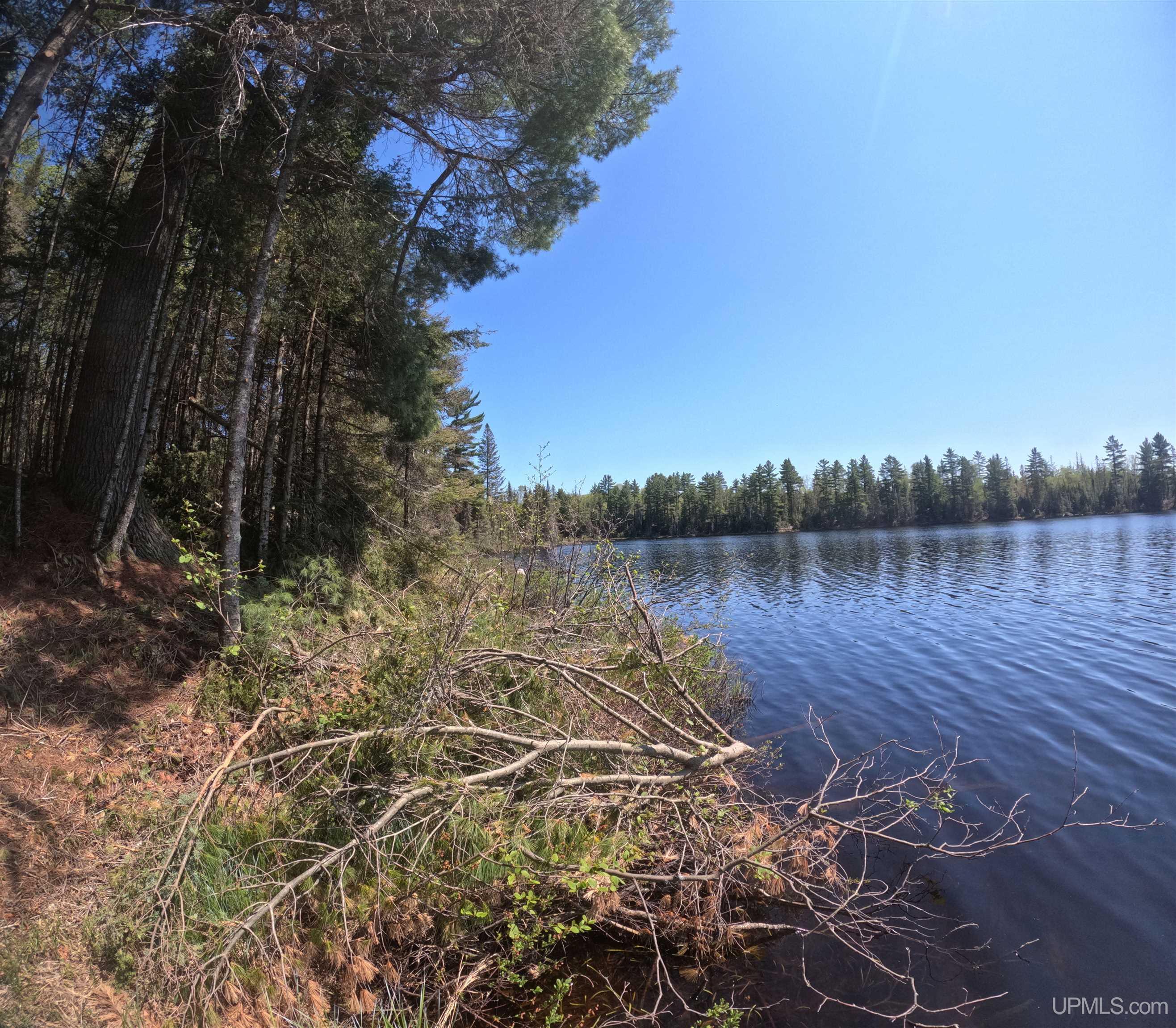 10 Fence Lake Road Michigamme, MI 49861 - Photo 4 of 42