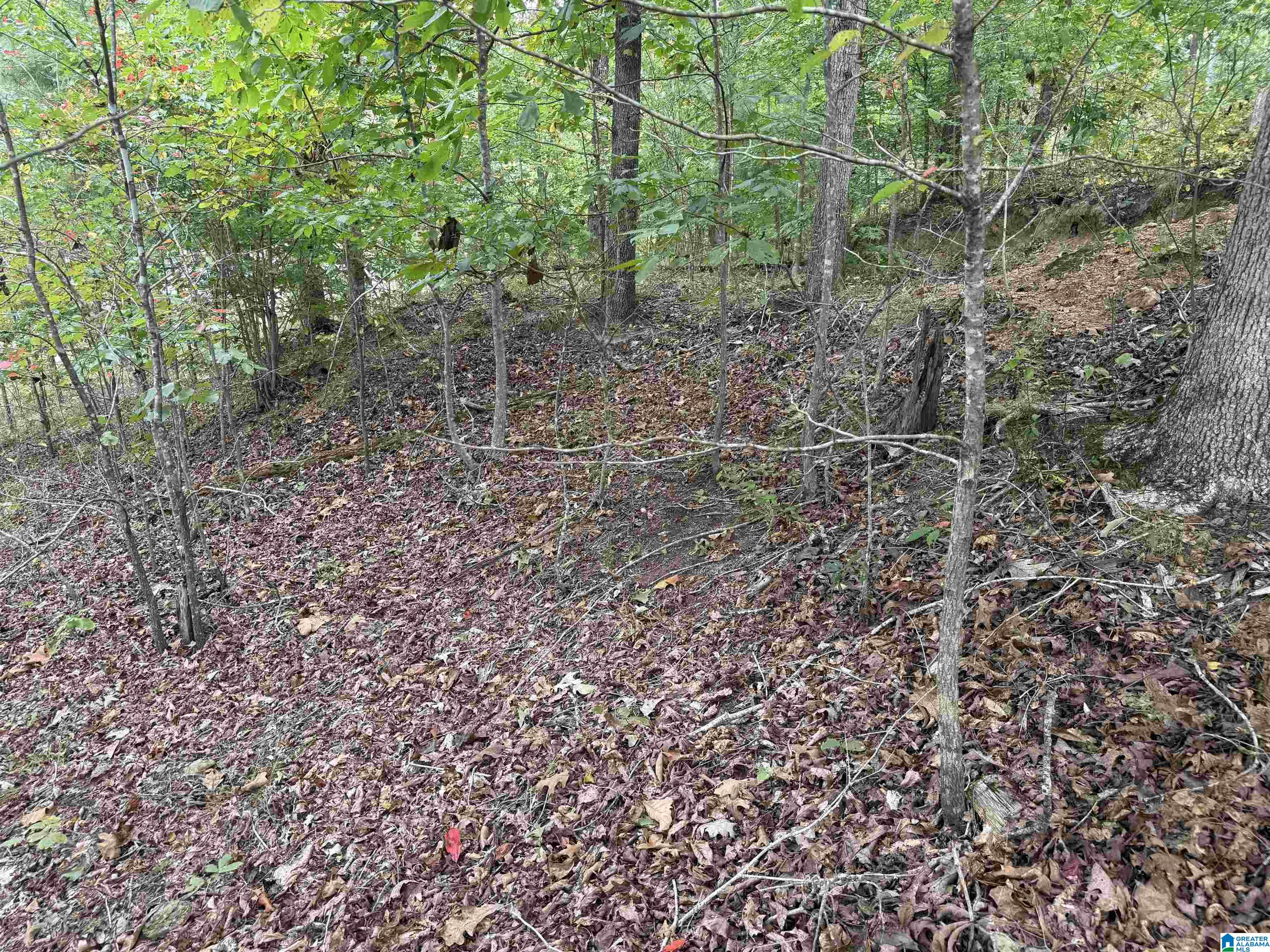 0 Lakeside Circle, Unit 31 Delta, AL 36258 - Photo 14 of 16