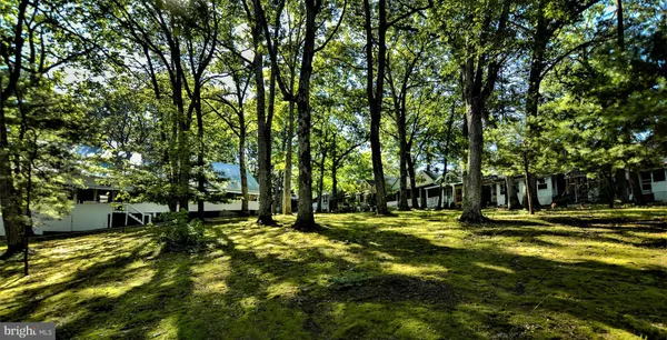 a backyard of a house with a fountain and large trees