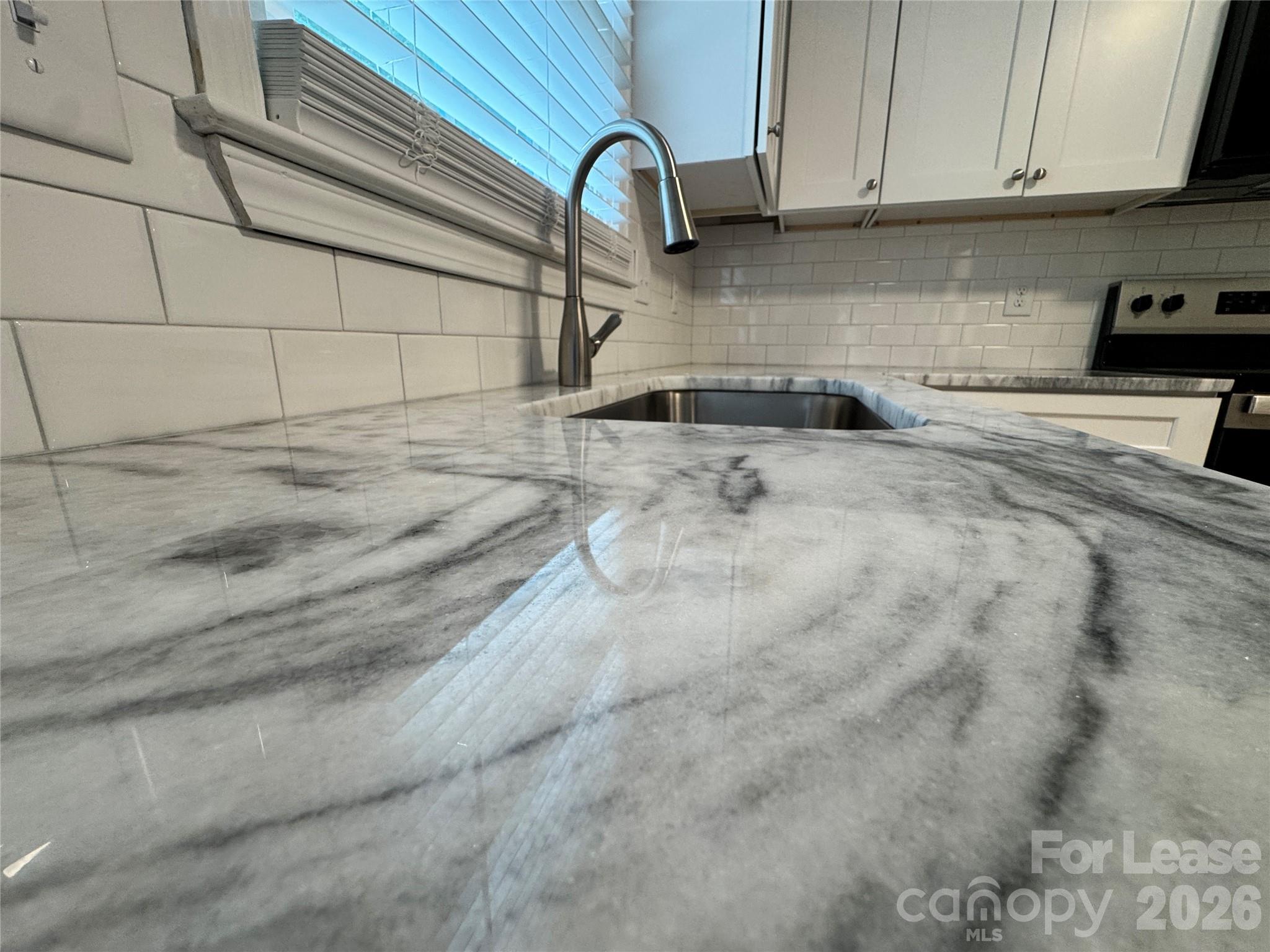 6314 Harrisburg Road Charlotte, NC 28227 - Photo 3 of 16 a close view of sink and tap