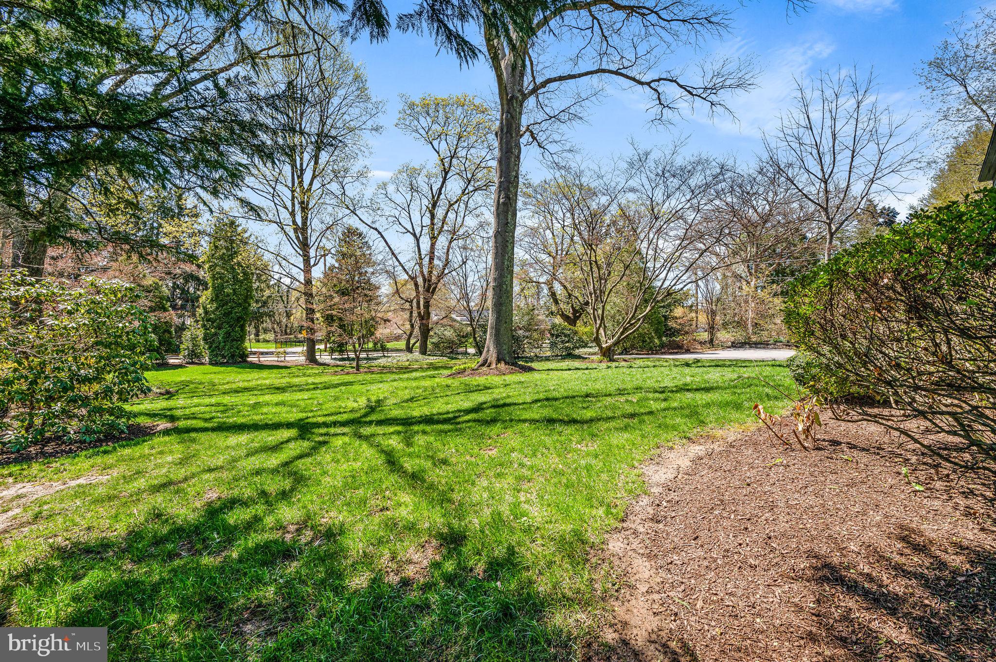 124 South Providence Road Wallingford, PA 19086 - Photo 5 of 53 a green field with lots of trees
