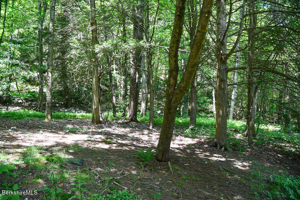 15 West Stockbridge Road Stockbridge, MA 01262 - Photo 13 of 36 DSC_8096