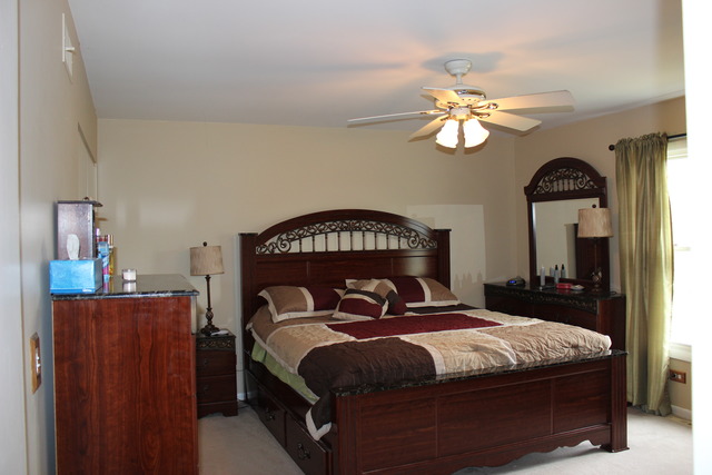 8115 Rita Lane Spring Grove, IL 60081 - Photo 13 of 18