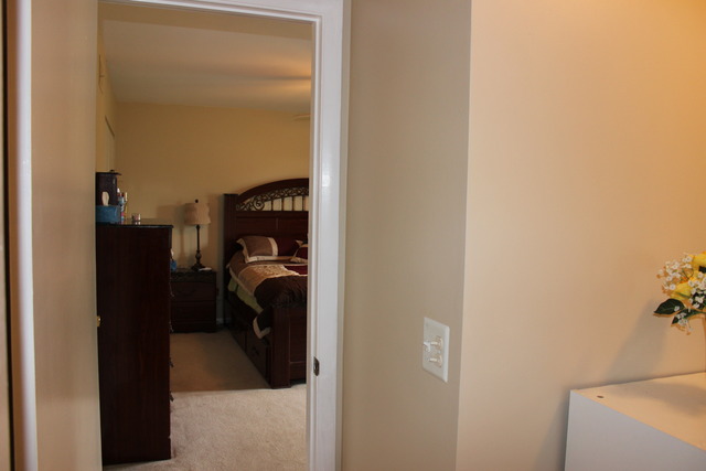 8115 Rita Lane Spring Grove, IL 60081 - Photo 15 of 18