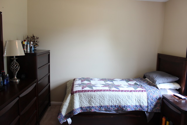 8115 Rita Lane Spring Grove, IL 60081 - Photo 17 of 18