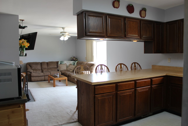 8115 Rita Lane Spring Grove, IL 60081 - Photo 7 of 18