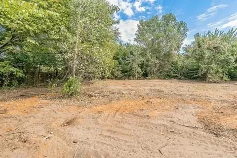 a view of a yard with a trees