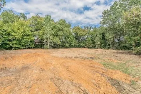 a view of a dry yard with trees