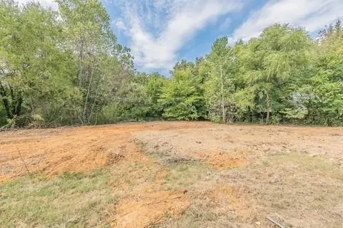 a view of empty yard with large trees