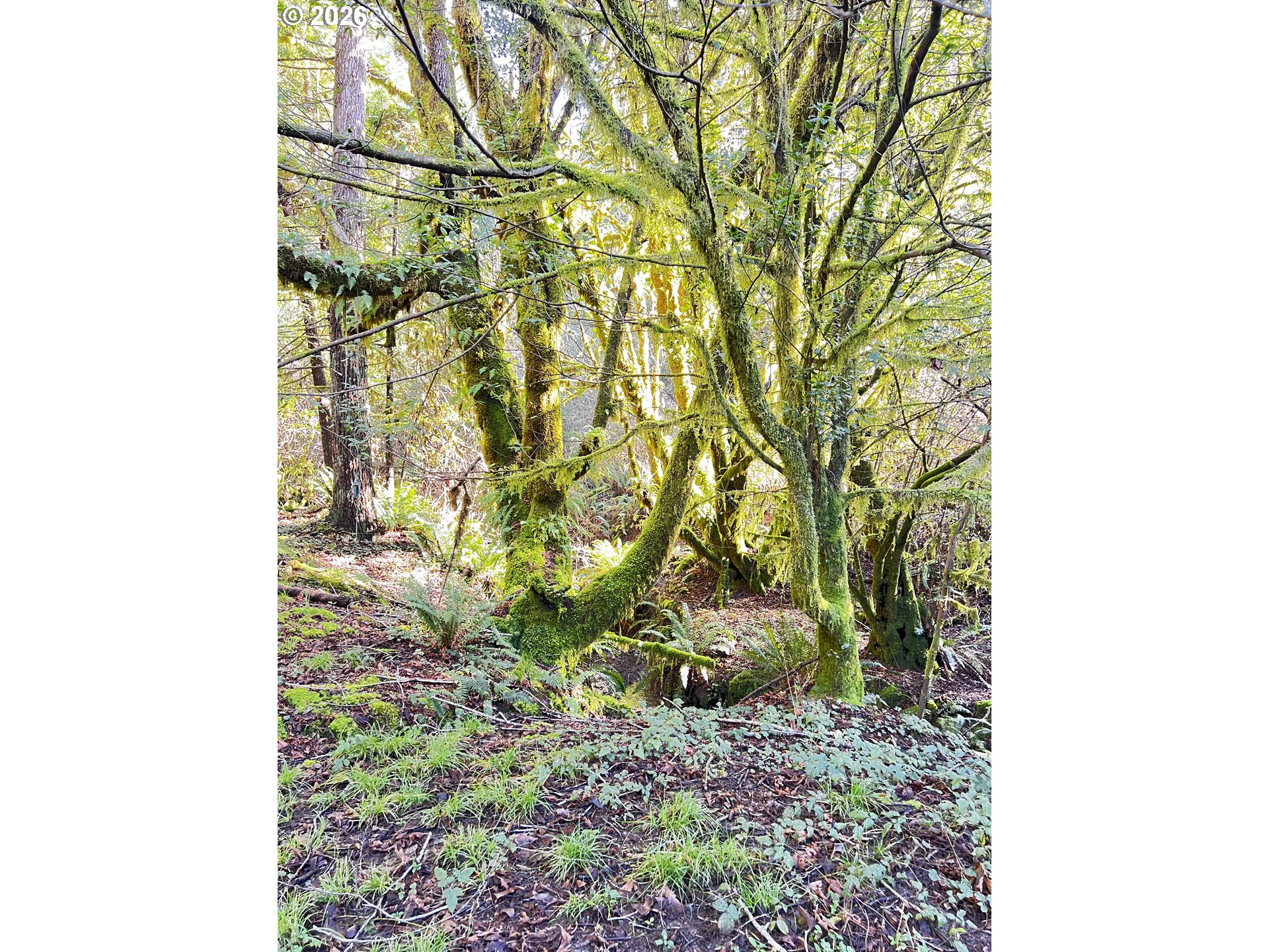 407 Winchuck River Road Brookings, OR 97415 - Photo 33 of 40