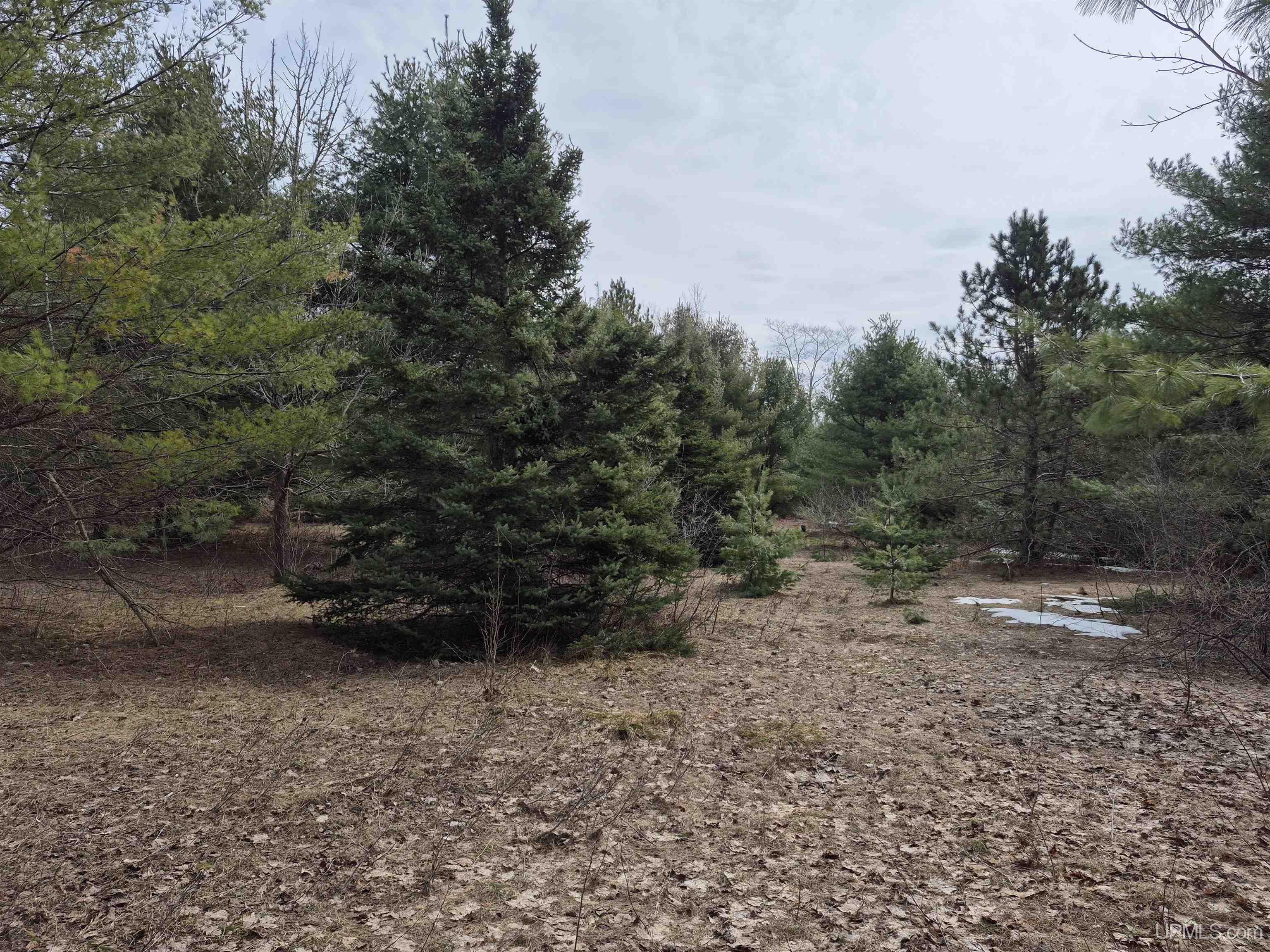 East 20 Quarry Road Gulliver, MI 49840 - Photo 3 of 47