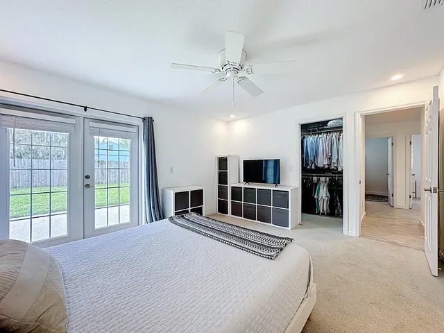 a view of backyard with potted plants and a large tree