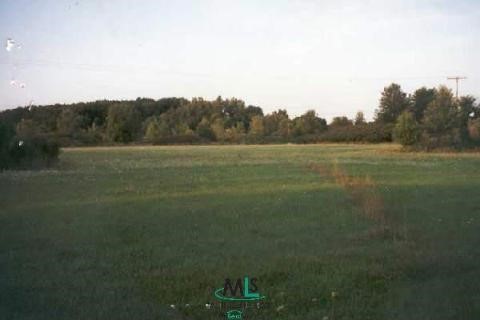 0 Mitchell Road Metamora, MI 48455 - Photo 1 of 1 884522.JPG