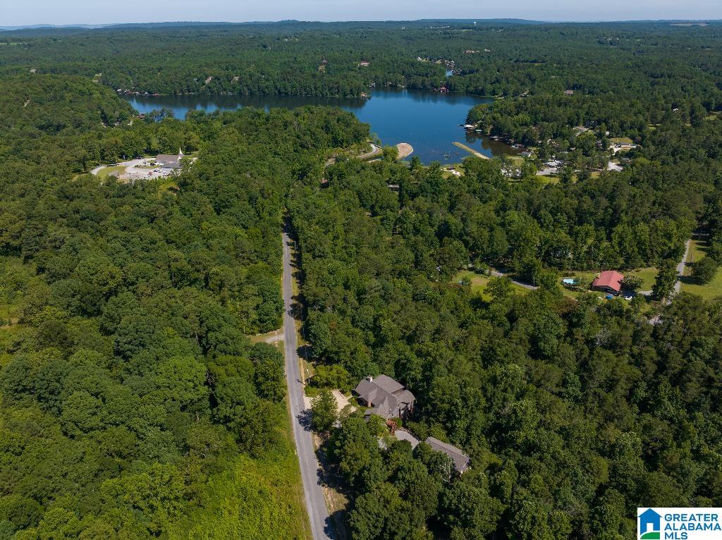 1300 Lake Road Oneonta, AL 35121 - Photo 4 of 55