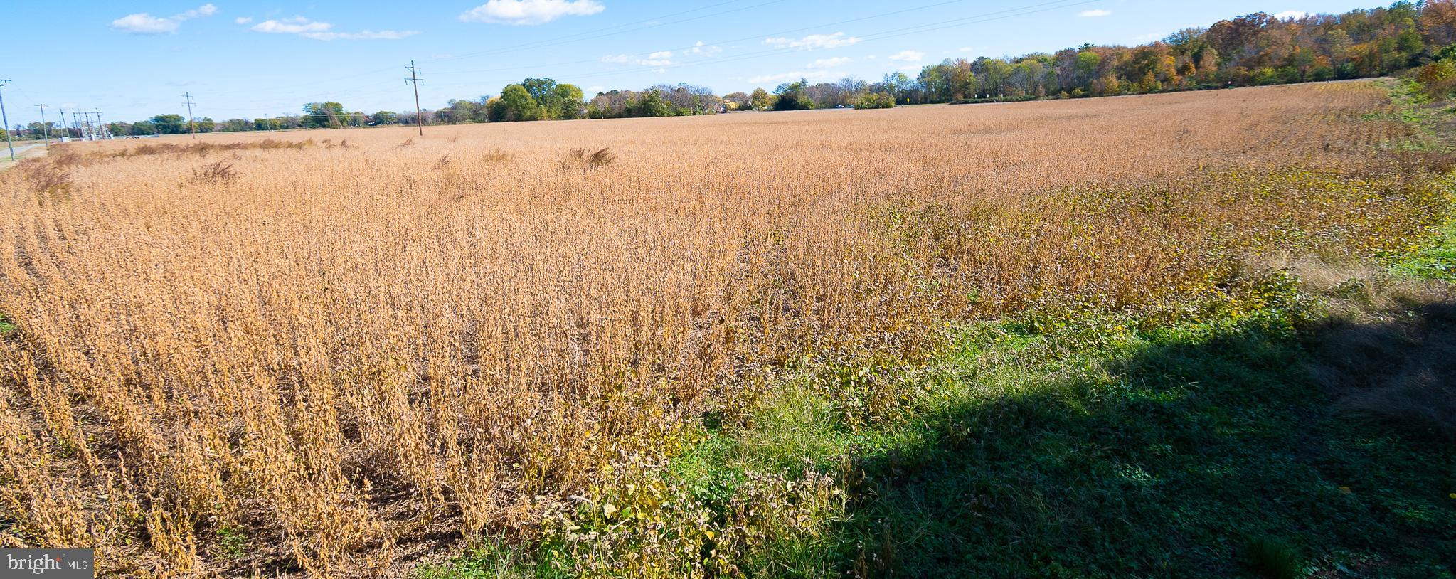 25513 Tidewater Trail Port Royal, VA 22535 - Photo 3 of 10 a view of lake view and mountain view