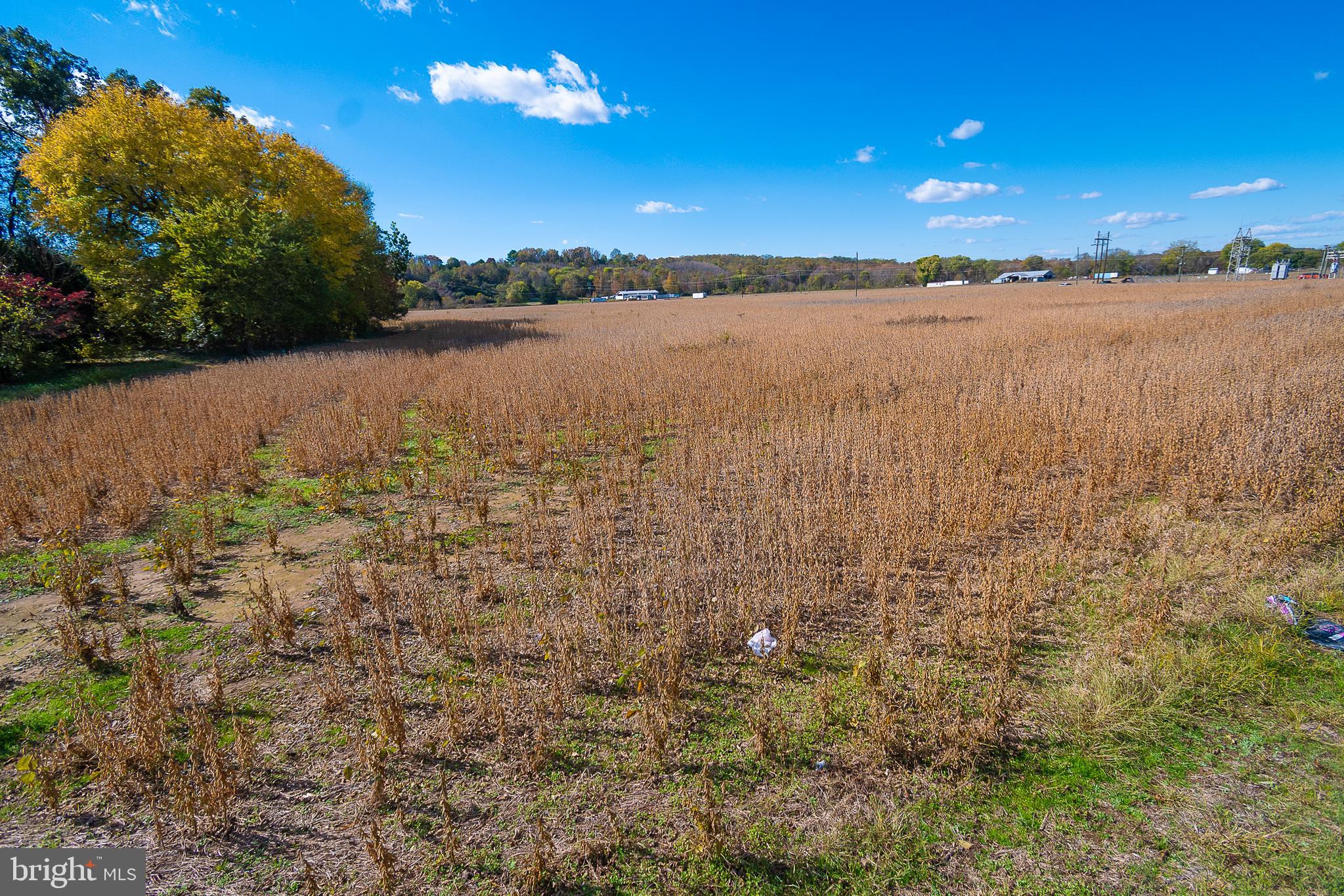 25513 Tidewater Trail Port Royal, VA 22535 - Photo 6 of 10 a view of lake and sunset