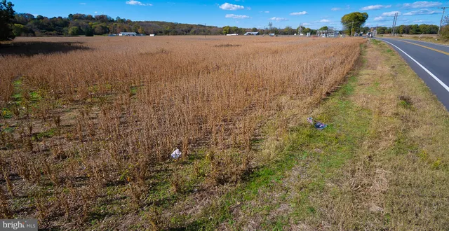 $2,200,000 | 25513 Tidewater Trail, Port Royal, VA 22535