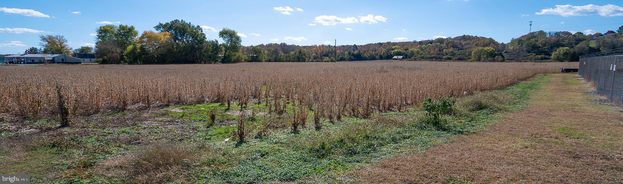 25513 Tidewater Trail Port Royal, VA 22535 - Photo 8 of 10 a view of an outdoor space and a lake view
