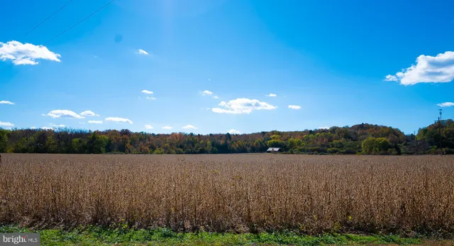 $2,200,000 | 25513 Tidewater Trail, Port Royal, VA 22535